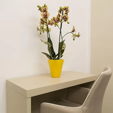 住宿加早餐酒店 那不勒斯五间客房住宿加早餐旅馆